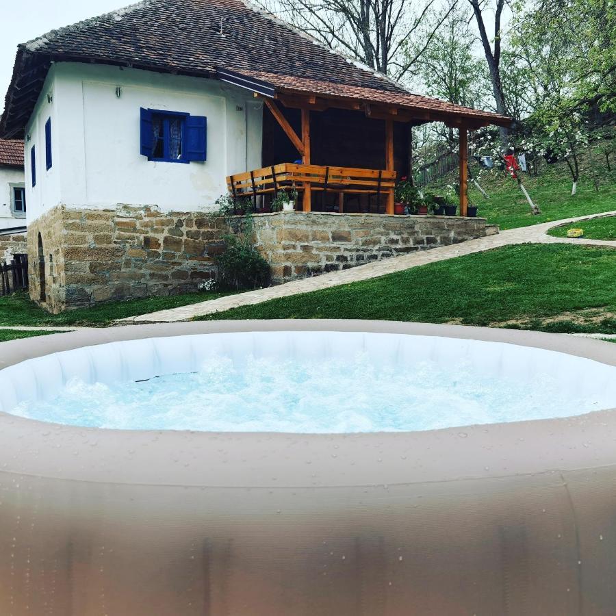 Villa Stara Etno Kuca Radonjic Guča Exterior foto