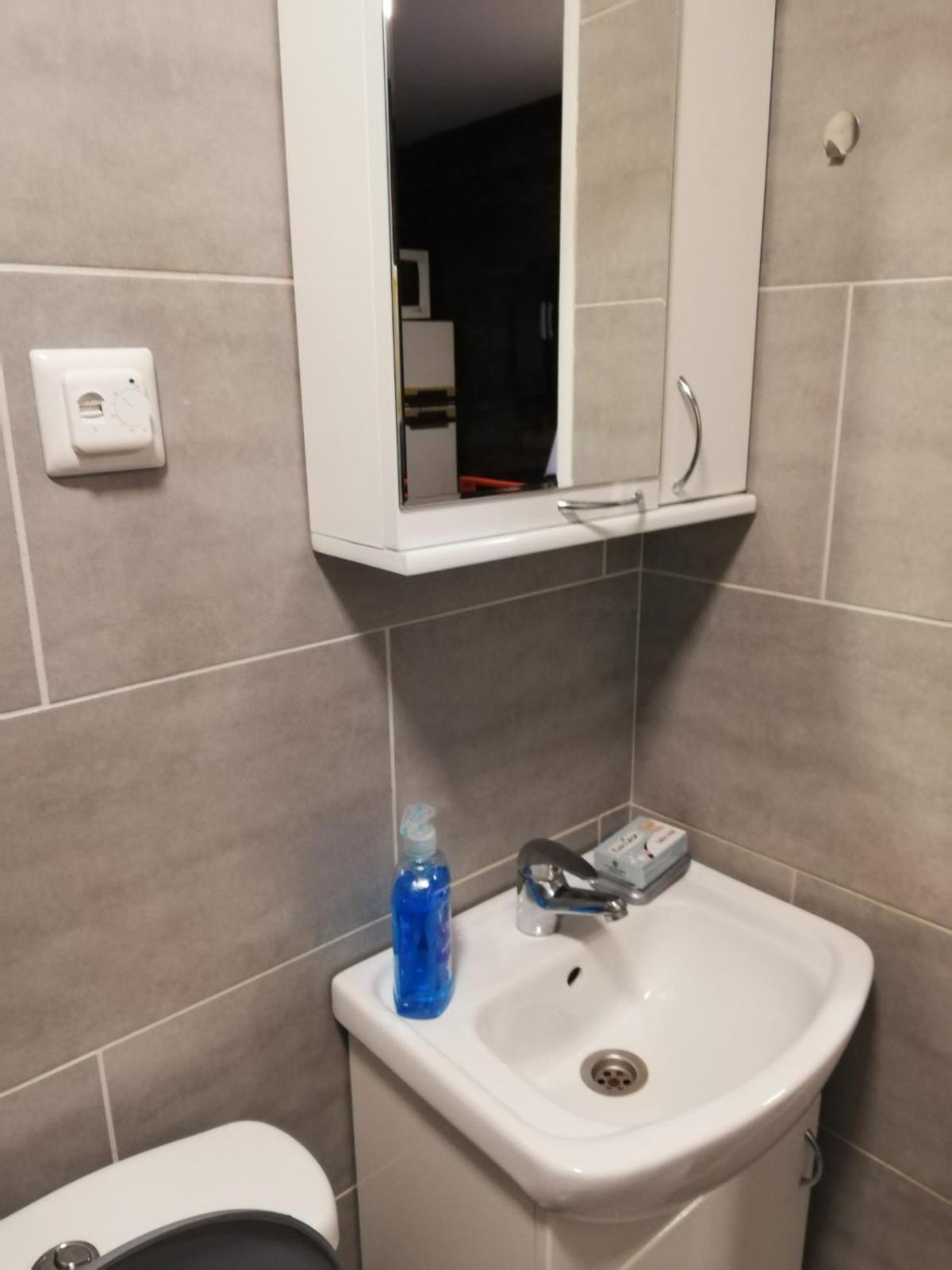 Villa Stara Etno Kuca Radonjic Guča Habitación foto