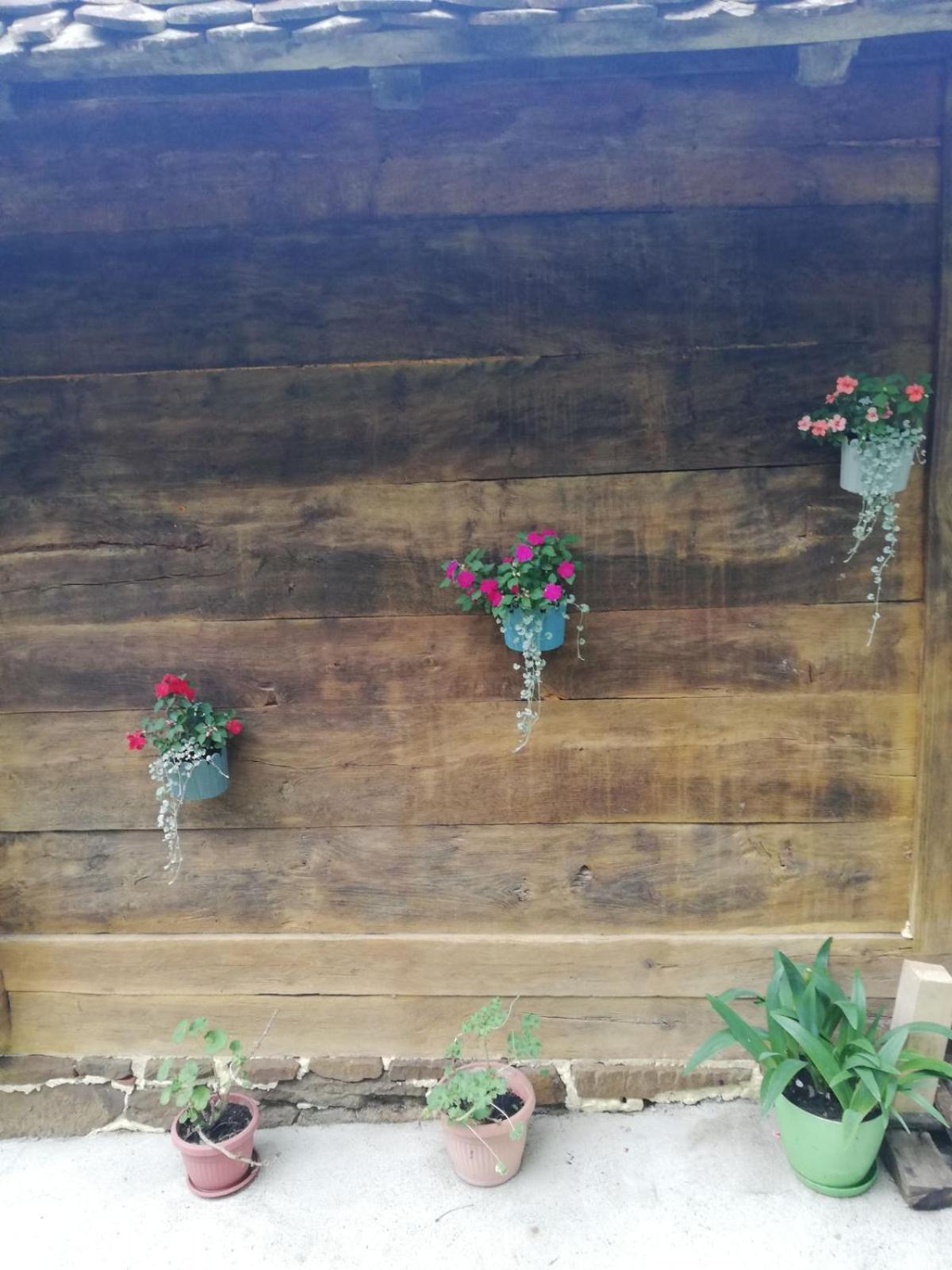 Villa Stara Etno Kuca Radonjic Guča Habitación foto