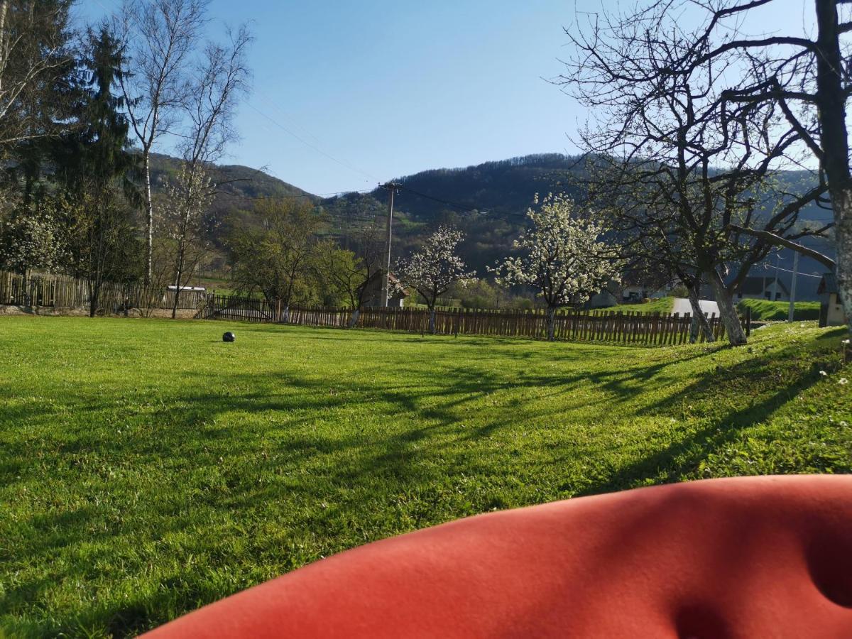 Villa Stara Etno Kuca Radonjic Guča Exterior foto